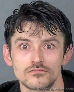 Booking photo from Hernando County, Florida