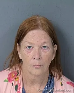 Booking photo from Hernando County, Florida