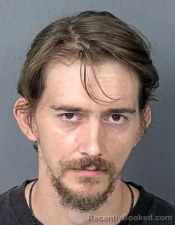 Booking photo from Hernando County, Florida