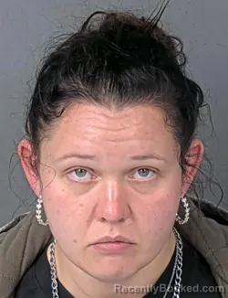 Booking photo from Hernando County, Florida