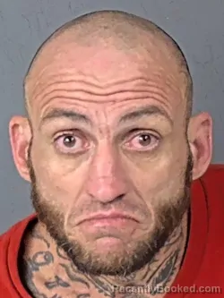 Booking photo from Hernando County, Florida