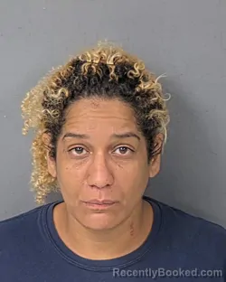 Booking photo from Hernando County, Florida