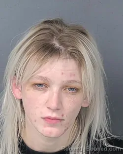 Booking photo from Hernando County, Florida