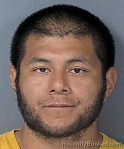 Mugshot of PEDRO NAJERA