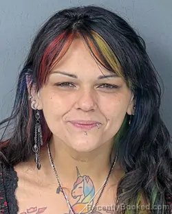 Booking photo from Hernando County, Florida