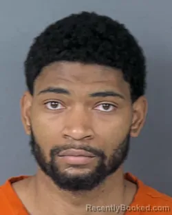 Booking photo from Hernando County, Florida