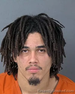 Booking photo from Hernando County, Florida