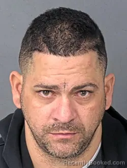 Mugshot of ROYLAN SIERRA BORRELL