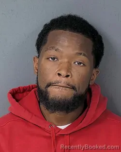 Mugshot of WARREN MIKEL CHEN