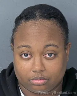 Booking photo from Hernando County, Florida