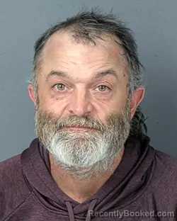 Booking photo from Hernando County, Florida