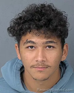 Booking photo from Hernando County, Florida