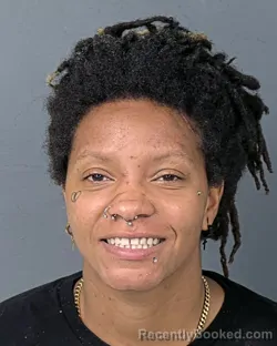 Booking photo from Hernando County, Florida