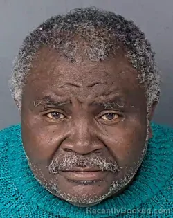 Booking photo from Hernando County, Florida