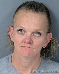 Booking photo from Hernando County, Florida