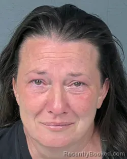 Mugshot of JILL MARIE ROBINSON