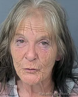 Mugshot of SANDY STENZHORN HAND