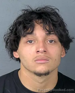 Mugshot of DAVID VINCENT GONZALEZ