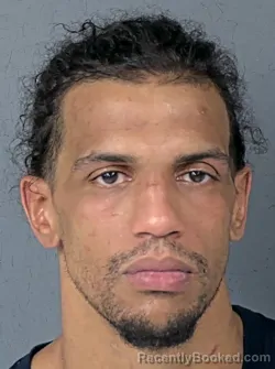 Mugshot of STEPHEN ANTONIO MCDONALD-WINSTONE