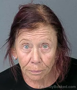 Mugshot of MICHELLE ANN DODICH