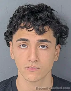 Mugshot of ELI RONALD FONTANEZ