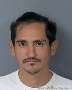 Mugshot of NOEL ELMER VELASQUEZ RODRIGUEZ
