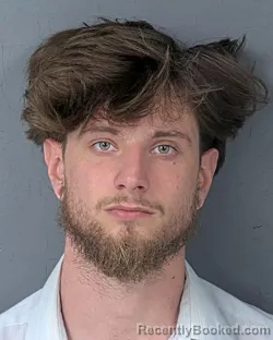Mugshot of TYLER LEE JONES