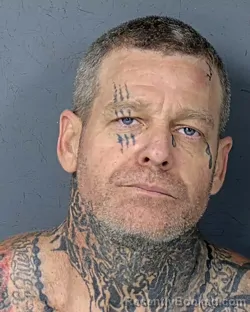 Mugshot of STEVEN GREG RICHARDS