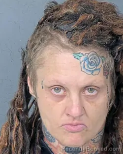 Mugshot of PAULA RENEE SARKOWSKI