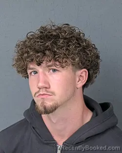 Mugshot of JACKSON TANNER JONES