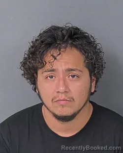 Mugshot of GRACEN LEON HECTOR MANDUJANO ACOSTA