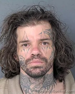 Mugshot of AARON JOSEPH WILSON