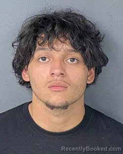 Mugshot of DAVID VINCENT GONZALEZ