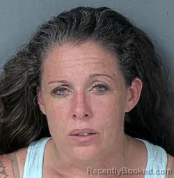 Mugshot of CHRISTINA NICHOLE FOWLER