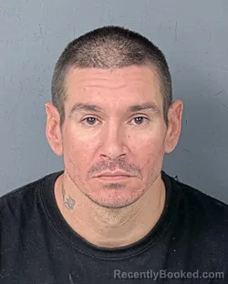 Mugshot of GARY MARTIN DRADY