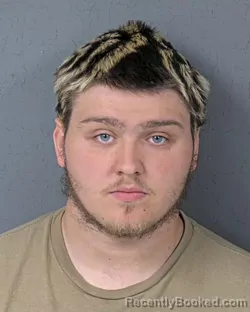 Mugshot of JESSE COLE DUNN