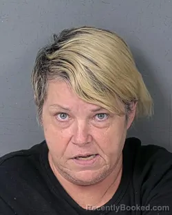 Mugshot of BARBARA LYNN BROWN