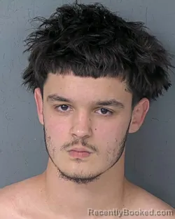 Mugshot of GABRIEL ISAIAH RISHER