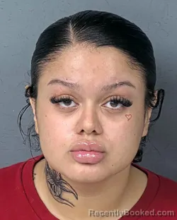 Mugshot of KAYLEEN NICOLE CARABALLO