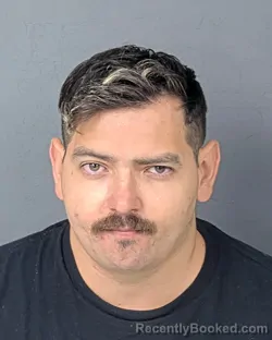Mugshot of GEORGE ALEXANDER CHAVES