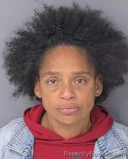 Mugshot of TONIANN LITICIA DUNN