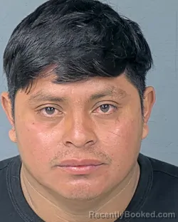 Mugshot of ERVIN TIUL CHE