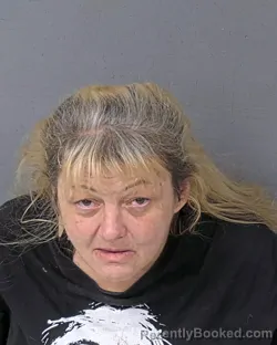 Mugshot of CHERYL ANN CHAPMAN