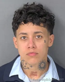 Mugshot of MARIELIZ BENITEZ