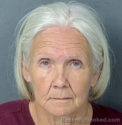 Mugshot of TAMERA JEAN SMITH