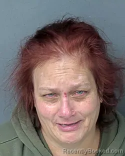 Mugshot of CATHY ANNE HEDDEN