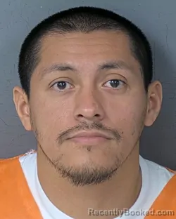 Mugshot of JUAN FALCON