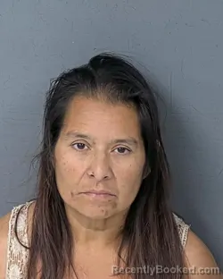 Mugshot of SANDRA ELIZABETH CHINCHILLA