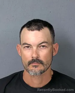 Mugshot of RYAN SCOTT SANDS