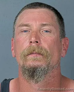 Mugshot of CHRIS CHARLES WISE